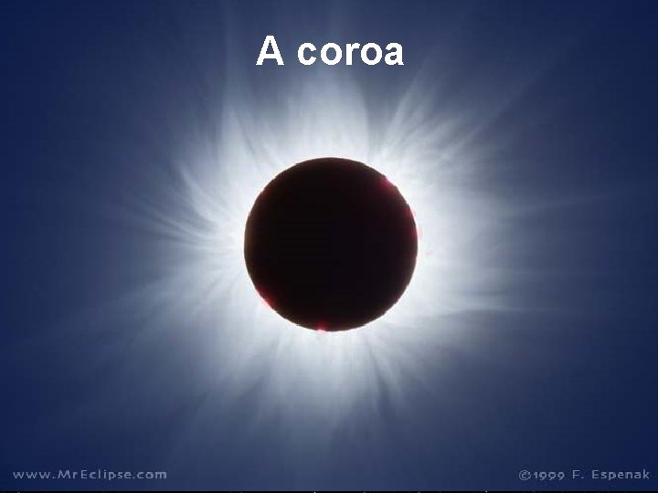 A coroa 
