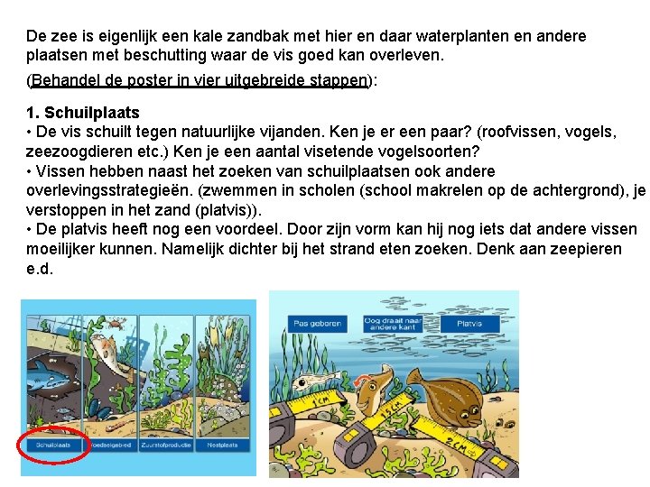 De zee is eigenlijk een kale zandbak met hier en daar waterplanten en andere