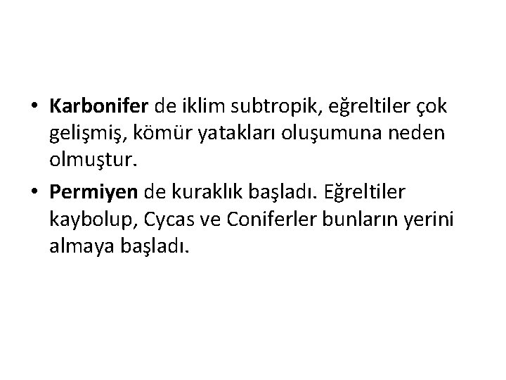  • Karbonifer de iklim subtropik, eğreltiler çok gelişmiş, kömür yatakları oluşumuna neden olmuştur.