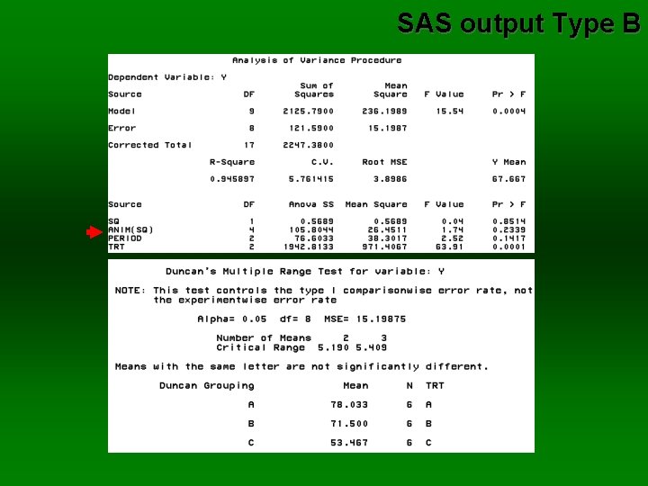 SAS output Type B 