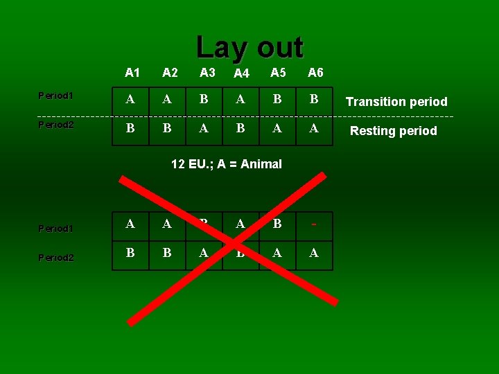 Lay out A 1 A 2 A 3 A 4 A 5 A 6