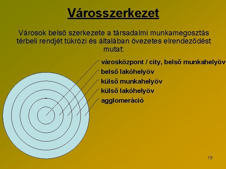 Városszerkezet Városok belső szerkezete a társadalmi munkamegosztás térbeli rendjét tükrözi és általában övezetes elrendeződést