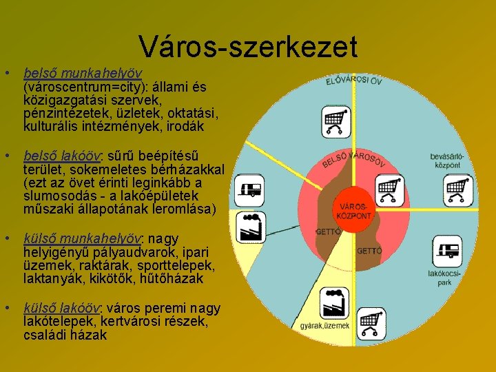 Város-szerkezet • belső munkahelyöv (városcentrum=city): állami és közigazgatási szervek, pénzintézetek, üzletek, oktatási, kulturális intézmények,