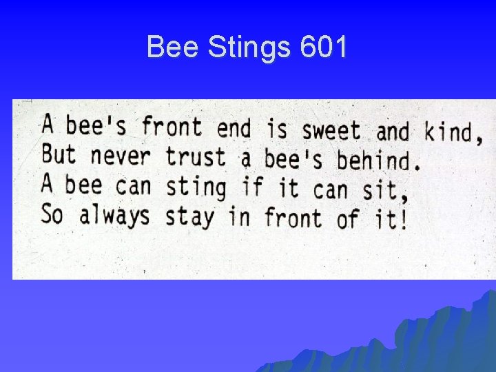 Bee Stings 601 