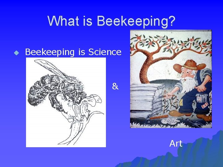 What is Beekeeping? u Beekeeping is Science & Art 