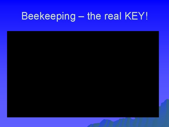 Beekeeping – the real KEY! 