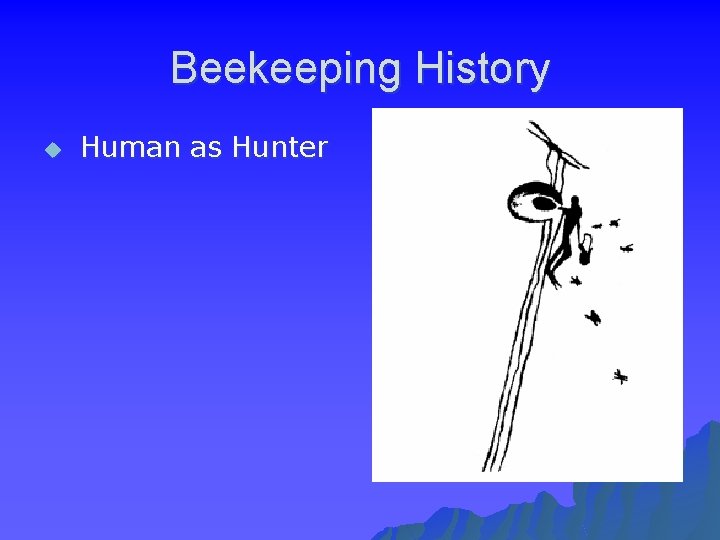 Beekeeping History u Human as Hunter 