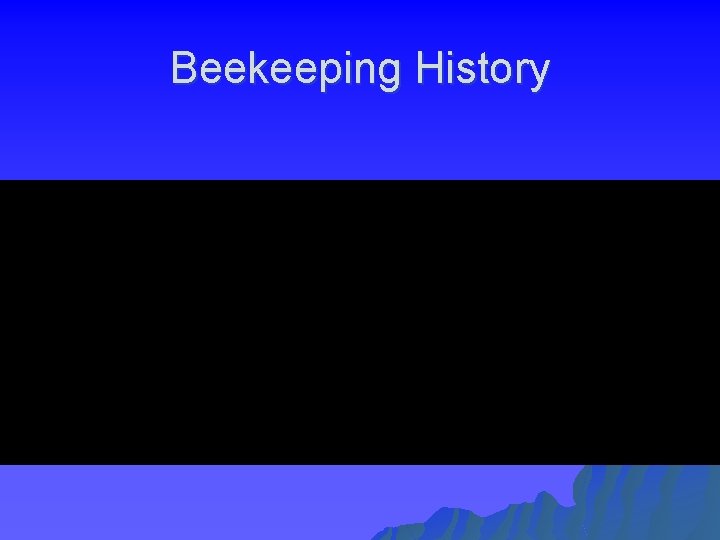 Beekeeping History 