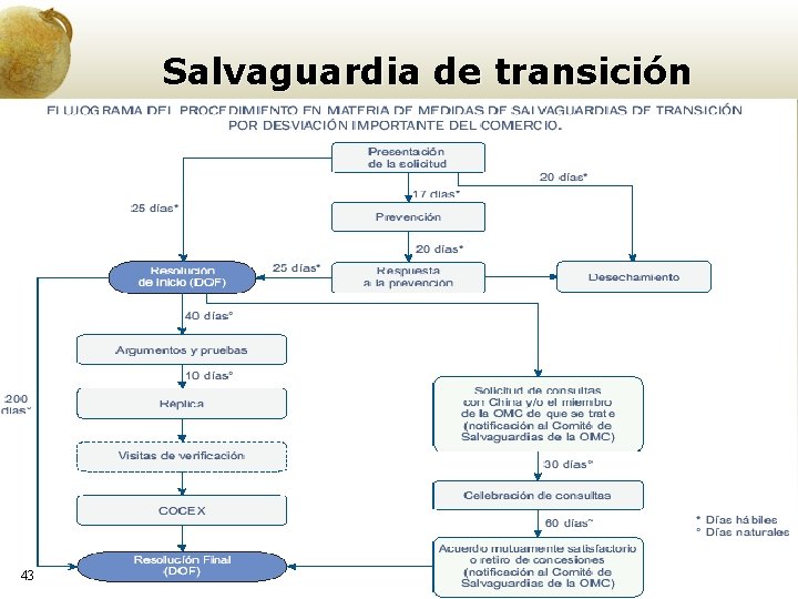 Salvaguardia de transición 43 