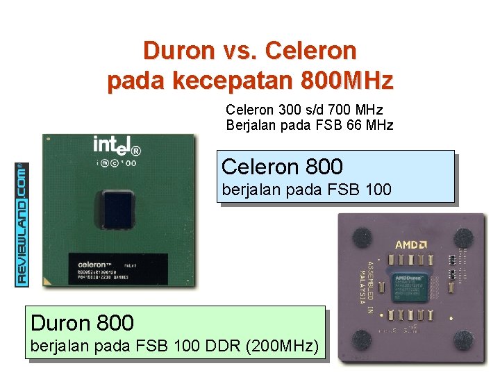 Duron vs. Celeron pada kecepatan 800 MHz Celeron 300 s/d 700 MHz Berjalan pada
