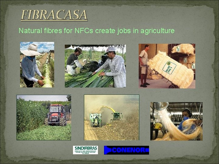 FIBRACASA Natural fibres for NFCs create jobs in agriculture 