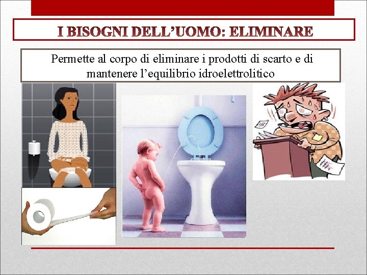 Permette al corpo di eliminare i prodotti di scarto e di mantenere l’equilibrio idroelettrolitico