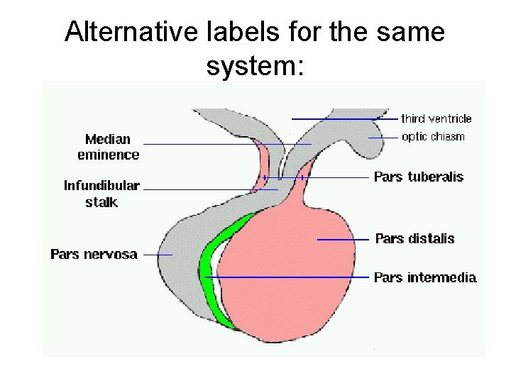 Alternative labels for the same system: 
