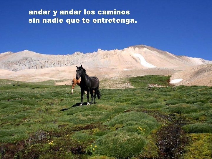 andar y andar los caminos sin nadie que te entretenga. 