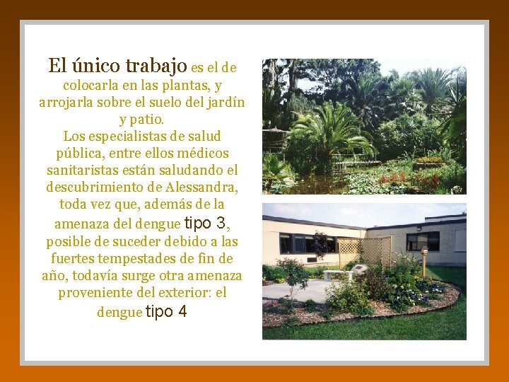El único trabajo es el de colocarla en las plantas, y arrojarla sobre el