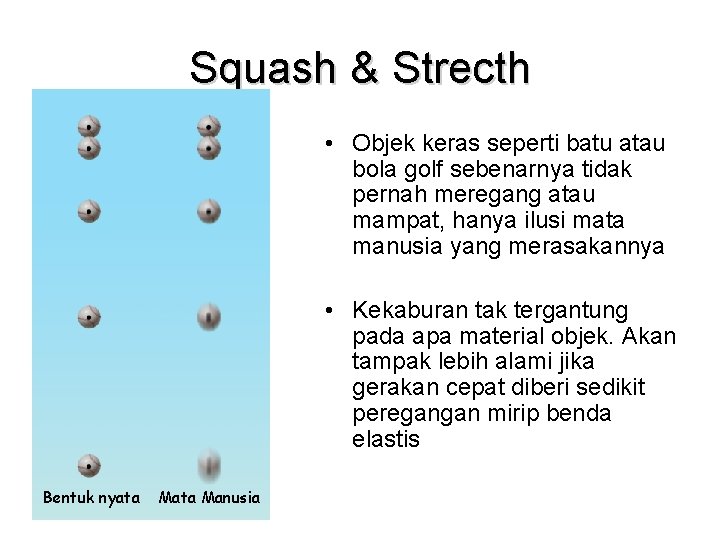 Squash & Strecth • Objek keras seperti batu atau bola golf sebenarnya tidak pernah