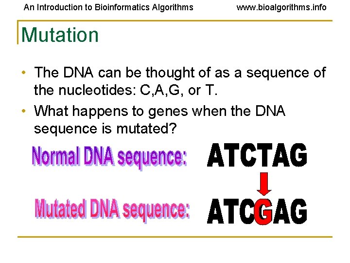 An Introduction to Bioinformatics Algorithms www. bioalgorithms. info Mutation • The DNA can be