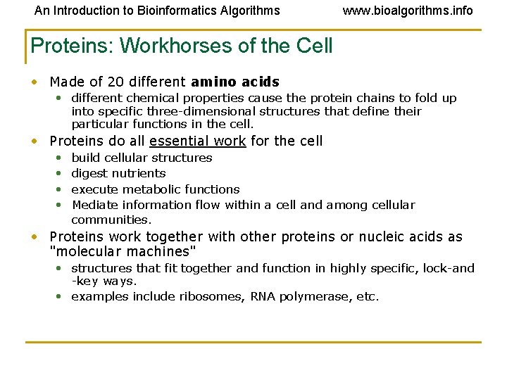 An Introduction to Bioinformatics Algorithms www. bioalgorithms. info Proteins: Workhorses of the Cell •