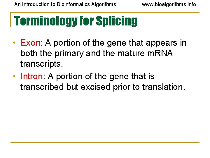 An Introduction to Bioinformatics Algorithms www. bioalgorithms. info Terminology for Splicing • Exon: A