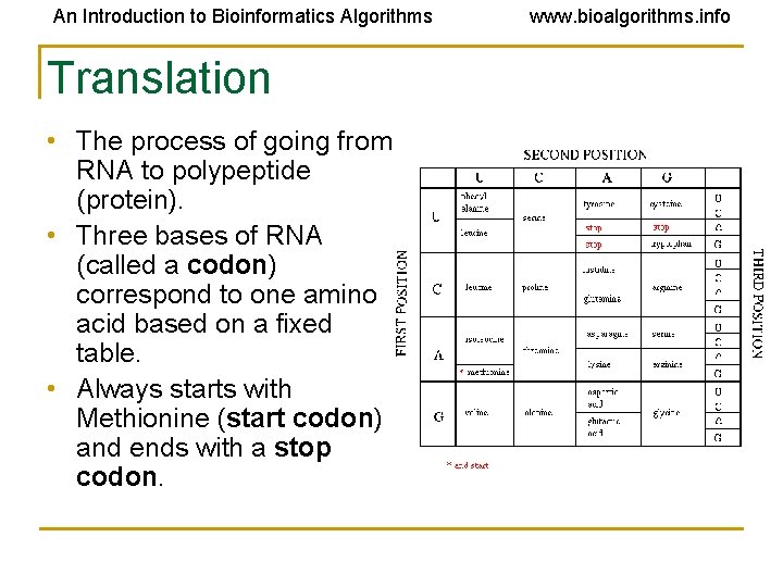 An Introduction to Bioinformatics Algorithms Translation • The process of going from RNA to