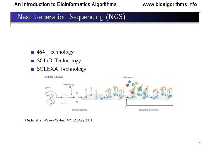 An Introduction to Bioinformatics Algorithms www. bioalgorithms. info 10 