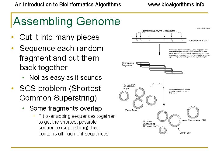 An Introduction to Bioinformatics Algorithms Assembling Genome • Cut it into many pieces •