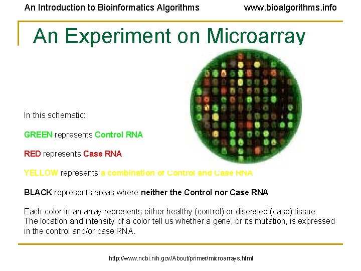 An Introduction to Bioinformatics Algorithms www. bioalgorithms. info An Experiment on Microarray In this