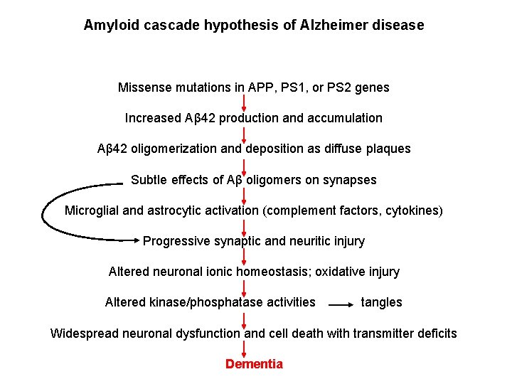 Amyloid cascade hypothesis of Alzheimer disease Missense mutations in APP, PS 1, or PS