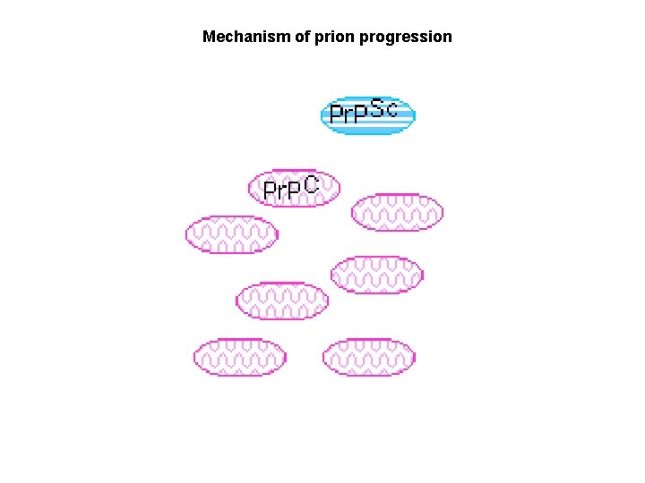 Mechanism of prion progression 