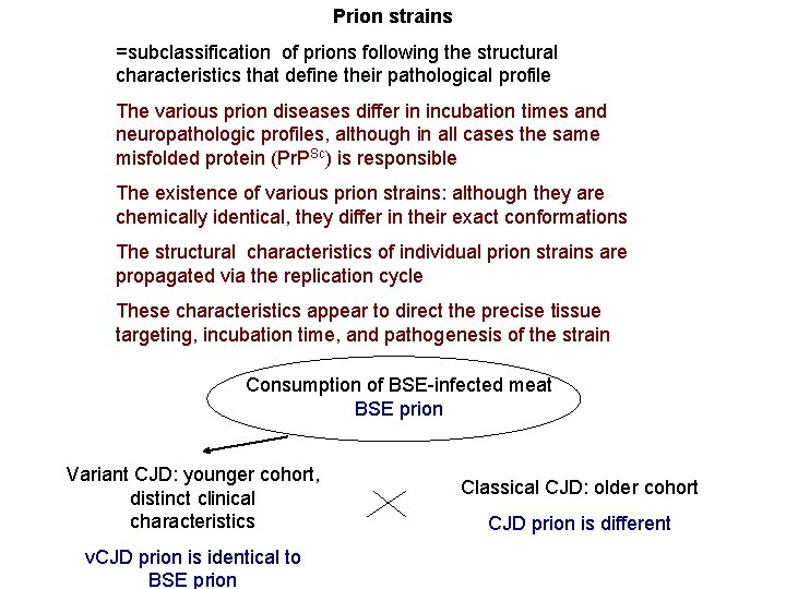 Prion strains =subclassification of prions following the structural characteristics that define their pathological profile