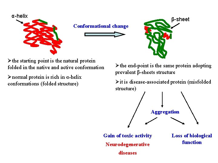 α-helix β-sheet Conformational change Øthe starting point is the natural protein folded in the