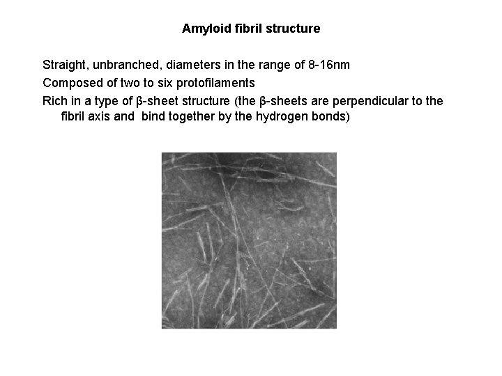 Amyloid fibril structure Straight, unbranched, diameters in the range of 8 -16 nm Composed