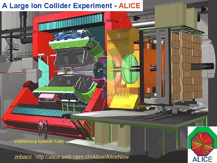 A Large Ion Collider Experiment - ALICE 