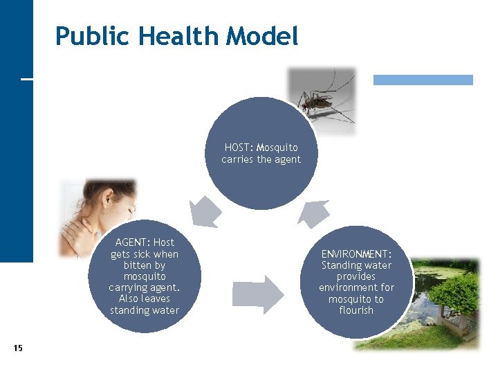 Public Health Model HOST: Mosquito carries the agent AGENT: Host gets sick when bitten
