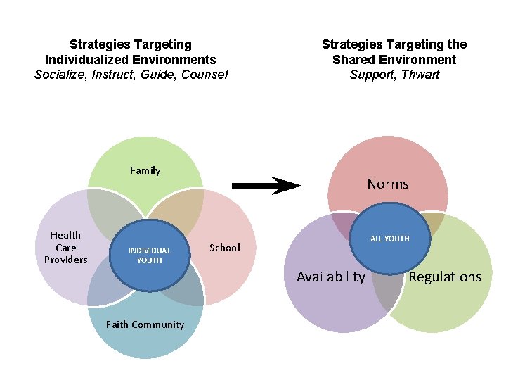 Strategies Targeting Individualized Environments Socialize, Instruct, Guide, Counsel Strategies Targeting the Shared Environment Support,