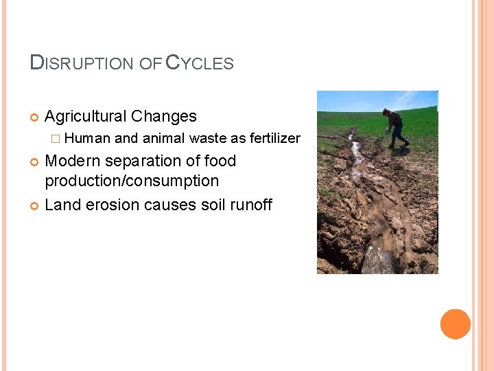 DISRUPTION OF CYCLES Agricultural Changes � Human and animal waste as fertilizer Modern separation