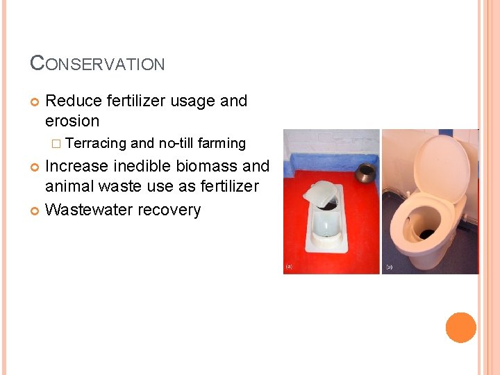 CONSERVATION Reduce fertilizer usage and erosion � Terracing and no-till farming Increase inedible biomass