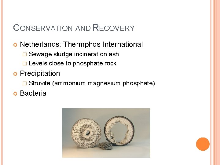 CONSERVATION AND RECOVERY Netherlands: Thermphos International � Sewage sludge incineration ash � Levels close