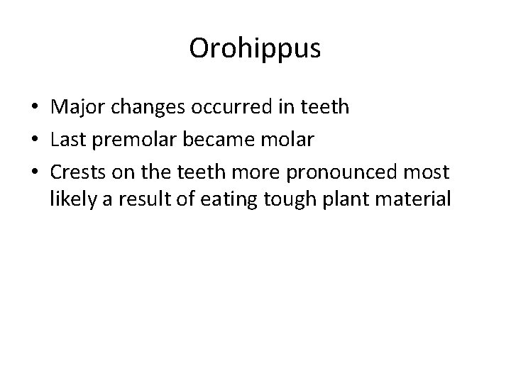 Orohippus • Major changes occurred in teeth • Last premolar became molar • Crests