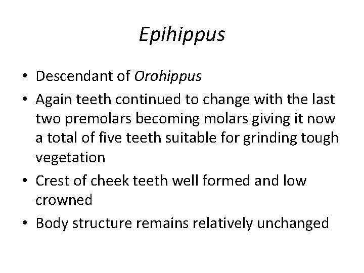 Epihippus • Descendant of Orohippus • Again teeth continued to change with the last