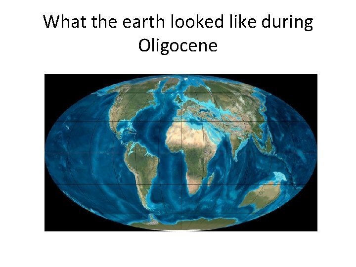What the earth looked like during Oligocene 