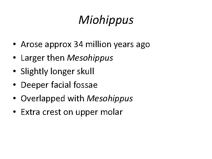Miohippus • • • Arose approx 34 million years ago Larger then Mesohippus Slightly