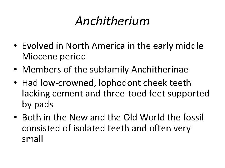Anchitherium • Evolved in North America in the early middle Miocene period • Members