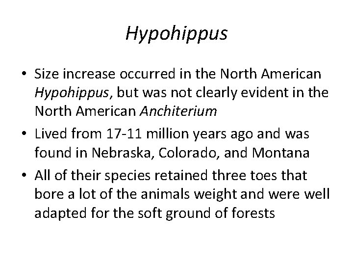 Hypohippus • Size increase occurred in the North American Hypohippus, but was not clearly