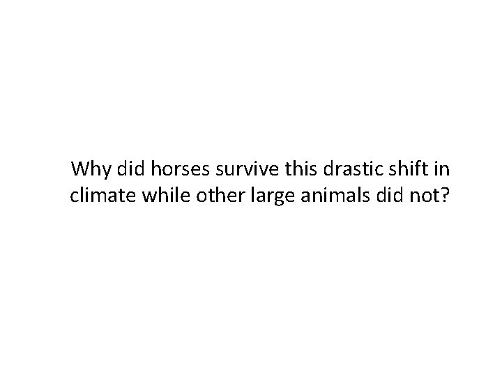 Why did horses survive this drastic shift in climate while other large animals did