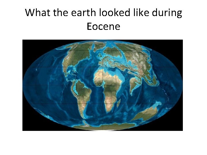 What the earth looked like during Eocene 