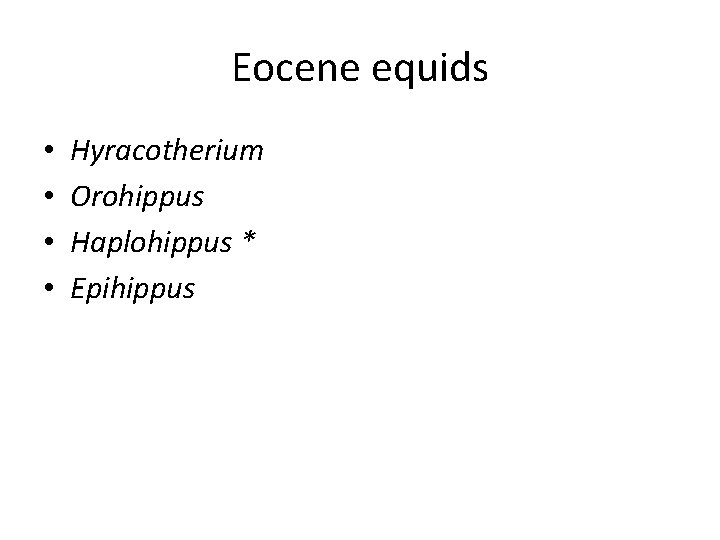 Eocene equids • • Hyracotherium Orohippus Haplohippus * Epihippus 