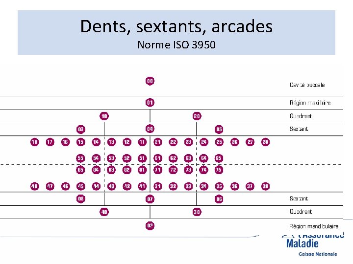 Dents, sextants, arcades Norme ISO 3950 