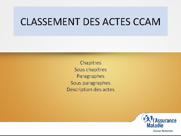 CLASSEMENT DES ACTES CCAM Chapitres Sous chapitres Paragraphes Sous paragraphes Description des actes 