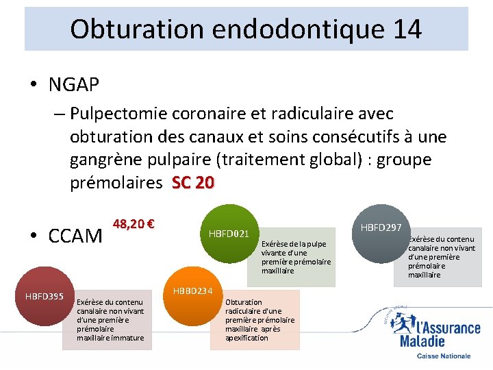 Obturation endodontique 14 • NGAP – Pulpectomie coronaire et radiculaire avec obturation des canaux